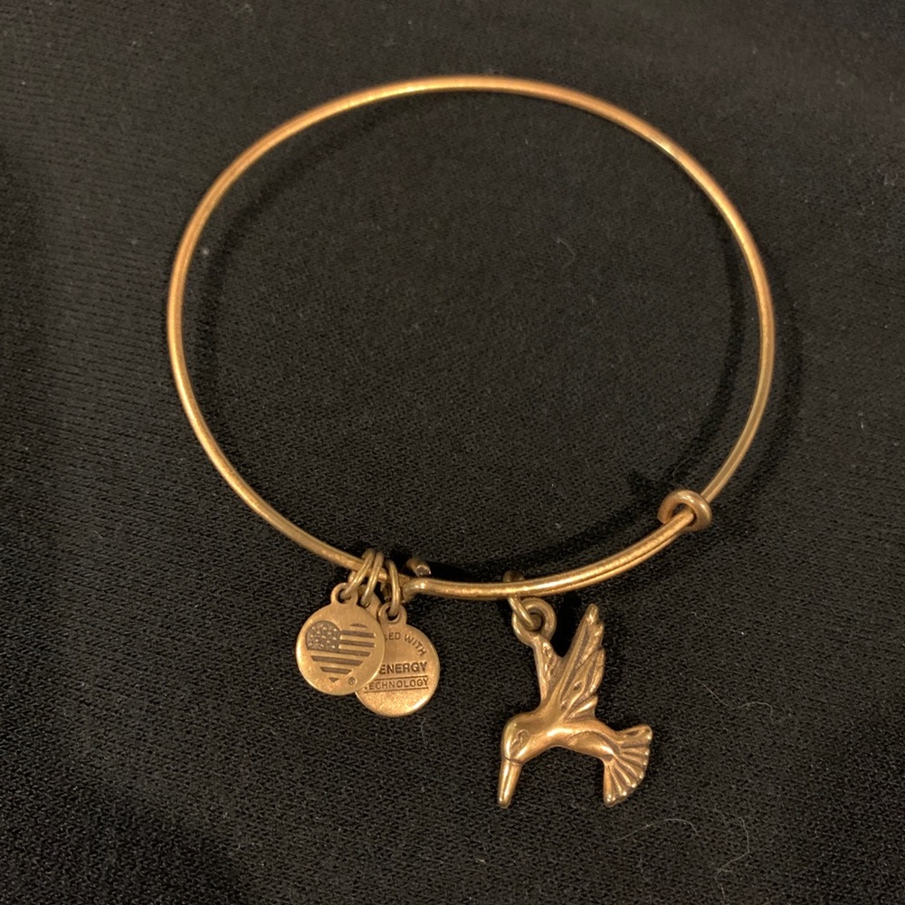 Alex and Ani Gold Finish Bracelet
